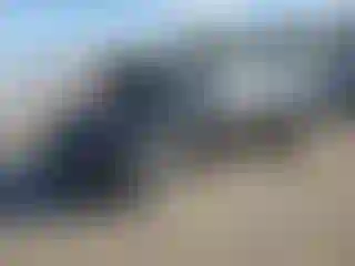 Vehicle Image- 2024 Tesla Model 3