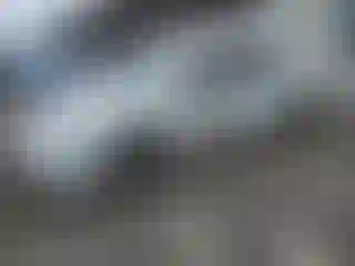 Vehicle Image- 2019 Tesla Model 3