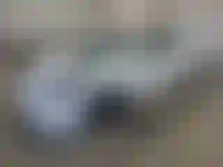 Vehicle Image- 2021 Tesla Model 3