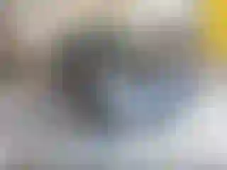 Vehicle Image- 2023 Tesla Model 3