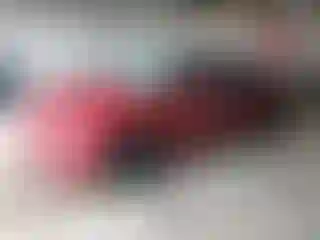 Vehicle Image- 2024 Tesla Model 3