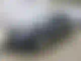 Vehicle Image- 2019 Tesla Model 3