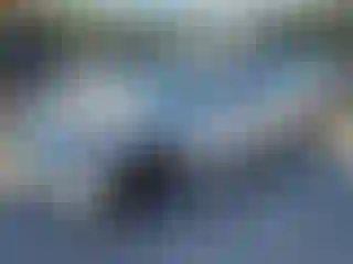 Vehicle Image- 2020 Tesla Model 3