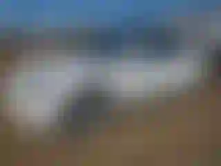 Vehicle Image- 2020 Tesla Model 3