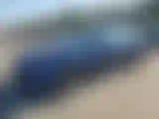 Vehicle Image- 2022 Tesla Model 3