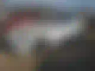 Vehicle Image- 2022 Tesla Model 3