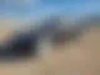 Vehicle Image- 2022 Tesla Model 3