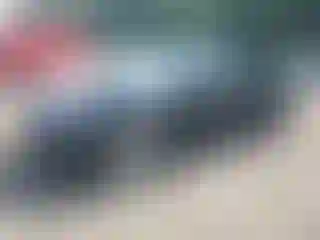 Vehicle Image- 2022 Tesla Model 3