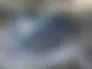 Vehicle Image- 2024 Tesla Model 3