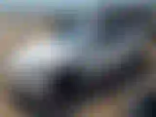 Vehicle Image- 2024 Tesla Model 3