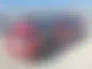 Vehicle Image- 2019 Tesla Model 3