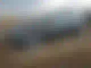 Vehicle Image- 2022 Tesla Model 3