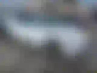 Vehicle Image- 2020 Tesla Model 3