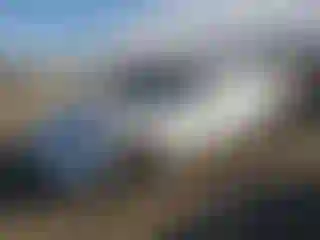 Vehicle Image- 2022 Tesla Model 3