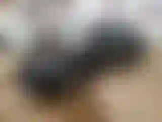 Vehicle Image- 2023 Tesla Model 3