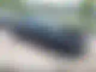 Vehicle Image- 2024 Tesla Model 3