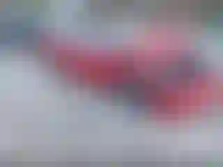 Vehicle Image- 2019 Tesla Model 3