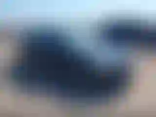 Vehicle Image- 2020 Tesla Model 3