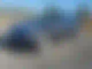 Vehicle Image- 2022 Tesla Model 3