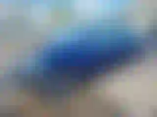 Vehicle Image- 2019 Tesla Model 3