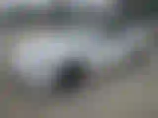 Vehicle Image- 2021 Tesla Model 3