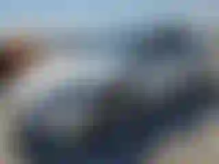 Vehicle Image- 2022 Tesla Model 3