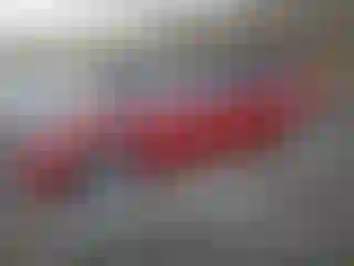 Vehicle Image- 2019 Tesla Model 3