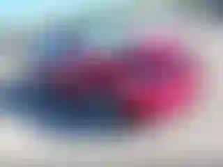 Vehicle Image- 2019 Tesla Model 3