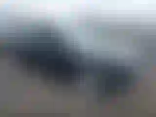 Vehicle Image- 2021 Tesla Model 3