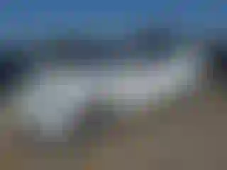 Vehicle Image- 2021 Tesla Model 3