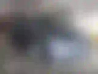 Vehicle Image- 2022 Tesla Model 3