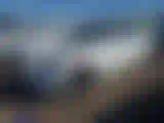 Vehicle Image- 2019 Tesla Model 3