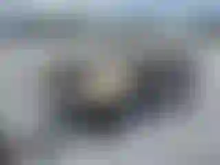 Vehicle Image- 2020 Tesla Model 3