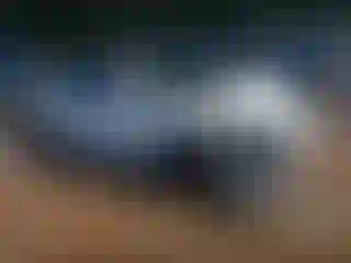 Vehicle Image- 2022 Tesla Model 3