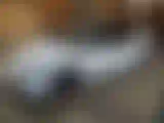 Vehicle Image- 2021 Tesla Model 3