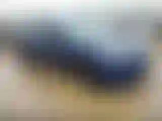 Vehicle Image- 2023 Tesla Model 3