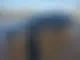 Vehicle Image- 2022 Tesla Model 3