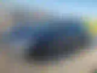 Vehicle Image- 2023 Tesla Model 3