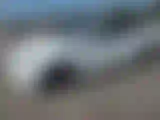 Vehicle Image- 2023 Tesla Model 3