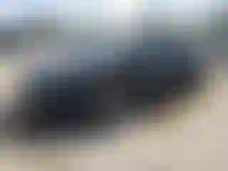 Vehicle Image- 2023 Tesla Model 3