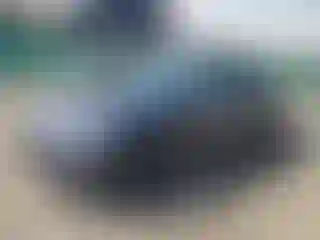 Vehicle Image- 2023 Tesla Model 3