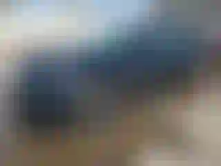 Vehicle Image- 2023 Tesla Model 3
