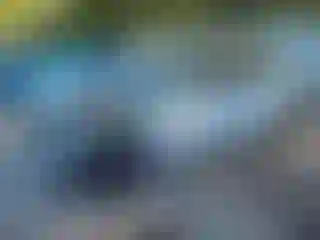 Vehicle Image- 2022 Tesla Model 3