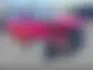 Vehicle Image- 2023 Tesla Model 3