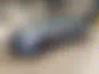 Vehicle Image- 2020 Tesla Model 3