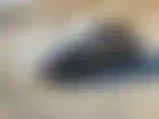 Vehicle Image- 2020 Tesla Model 3