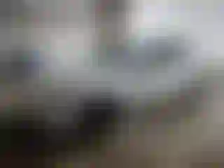 Vehicle Image- 2024 Tesla Model 3