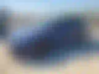 Vehicle Image- 2025 Tesla Model 3