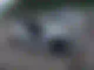 Vehicle Image- 2024 Tesla Model 3