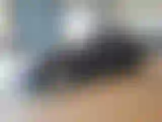 Vehicle Image- 2013 Tesla Model S